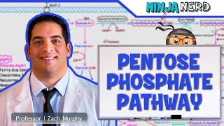 Metabolism  Pentose Phosphate Pathway [upl. by Madriene]