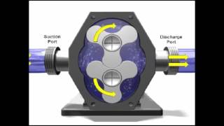 Rotary Pump Demonstration [upl. by Elliven]