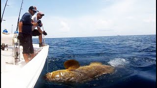 PESCA DE MERO GOLIATH GIGANTES 2019 Señor Bassfishing y Jorge Acosta Pesca [upl. by Meilen]