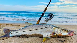 PESCA DE PLAYA  como Pescar RÓBALOS de ORILLA  típs de pesca [upl. by Cyrill]