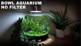 How To Make A No Filter 3 Gallon Fish Bowl Aquarium No Filter No Ferts No Co2 No Heater Aquascape [upl. by Noelle288]