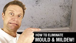 How to Paint over Mould amp Mildew [upl. by Oloap]