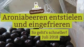 Aroniabeeren entstielen und einfrieren  so gehts schneller [upl. by Einnoc]