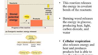 Chapter 7 Microbial Metabolism [upl. by Ali572]