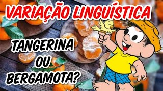 VARIAÇÃO LINGUÍSTICA [upl. by Kittie]