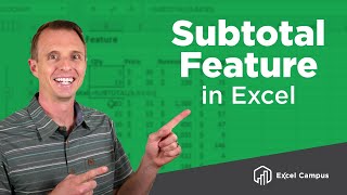 How To Use The Subtotal Feature And Subtotal Function In Excel [upl. by Aicileb]