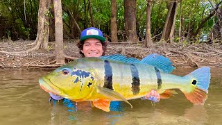 Viaje más de 4000 km para Pescar este TROFEO Tucunare  COLOMBIA 1 [upl. by Ahsinrats]