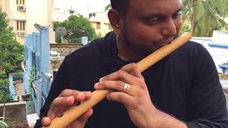 AR Rahman  Munbe Vaa  Flute Cover  Navins Notes  NaNo  ARR25 [upl. by Odie]