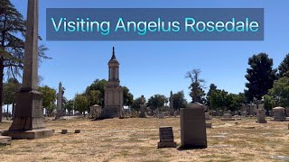 Visiting Angelus Rosedale [upl. by Anavlys886]