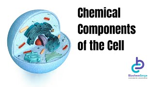 Chemical Components of the Cell  Biochemistry [upl. by Nymassej]