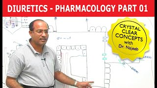 Diuretics  Pharmacology  Part 13 [upl. by Reyotal]