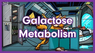 Galactose Metabolism Mnemonic  USMLE Preview [upl. by Davidde396]