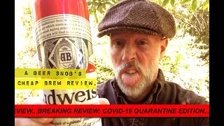 Budweiser Beer Review by A Beer Snobs Cheap Brew Review [upl. by Malachy290]