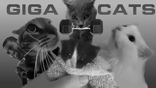 GigaChad Cats  World [upl. by Oicangi]