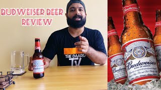 Budweiser Lager Beer Review l Thirsty Thursday budweiser [upl. by Taimi]