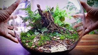 Fish Bowl Terrarium Anyone Can Build [upl. by Meece]