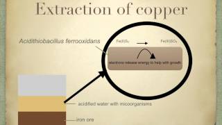 A level S1 Intro to Biotech and Bioleaching Ms Cooper [upl. by Nuajed]