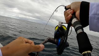 Técnica de Pesca SÚPER EFECTIVA jigging [upl. by Ani]