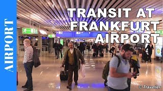 TRANSIT WALK AT FRANKFURT Airport FRA Terminal 1  Connection Flight Transfer Arriving amp Departing [upl. by Ozzy]