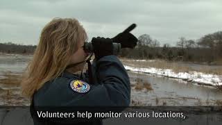 Welcome Video  Edwin B Forsythe National Wildlife Refuge  Closed Captioned [upl. by Elttil]