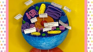 How to make animal cell model  science project  2minutesscience548 [upl. by Law822]