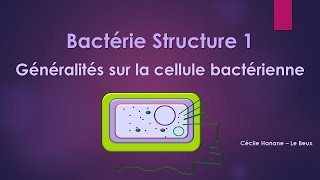 Bactérie Structure 1 BACTERIE [upl. by Jamal]